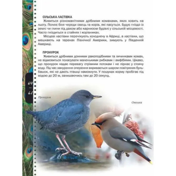 Енциклопедія для допитливих Талант Тварини - Жабська Т. З. - Pampik - 3