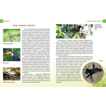 Енциклопедія для допитливих Талант Хижаки - Гапченко О. В. (9789669355874) - Pampik - 2