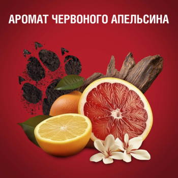 Аэрозольный дезодорант Old Spice Tigerclaw, 150 мл - Pampik - 4