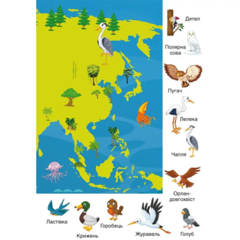 Набір наліпок. Перші розвивальні наліпки. Птахи, 35 шт. - Pampik - 6