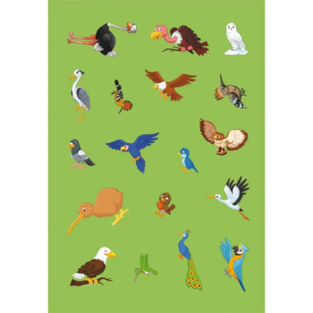 Набір наліпок. Перші розвивальні наліпки. Птахи, 35 шт. - Pampik - 4