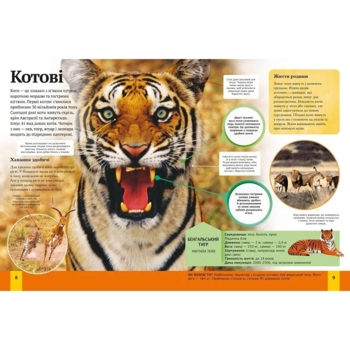 Дитяча енциклопедія тварин - Ліч Майкл, Лленд Меріел (781958) - Pampik - 2