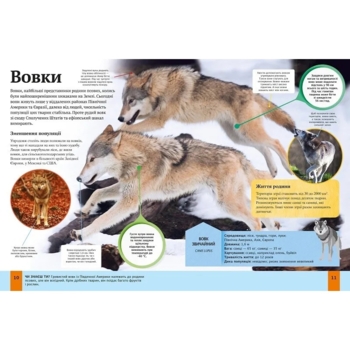 Дитяча енциклопедія тварин - Ліч Майкл, Лленд Меріел (781958) - Pampik - 3