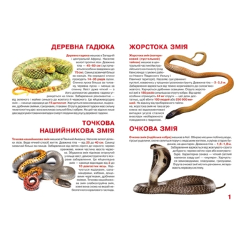 Велика книжка. Отруйні змії (F00021418) - Pampik - 3