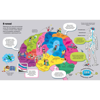 Велика книга про тіло - Мінна Лейсі (9786177688098) - Pampik - 4