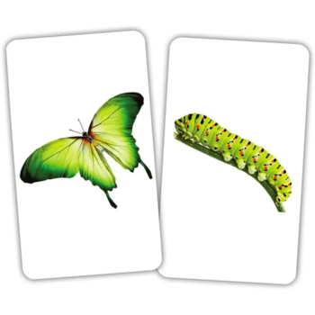 Набір карток Домана Вундеркінд з пелюшок Тварини та дитинчата, 15 пар карток, укр. мова (2100065276612) - Pampik - 3