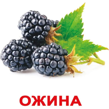 Картки Домана Вундеркінд з пелюшок Ягоди, 20 карток, укр. мова (2100064097041) - Pampik - 3