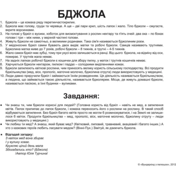 Карточки Домана Вундеркинд с пеленок Насекомые, 20 карточек, укр. язык (2100064096525) - Pampik - 4