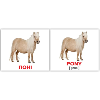 Мини-карточки Домана Вундеркинд с пеленок Домашние животные/Domestic animals, укр.-англ. язык, 40 шт. (2100064096808) - Pampik - 4