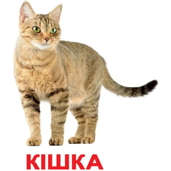 Карточки Домана Вундеркинд с пеленок Домашние животные, 20 карточек, укр. язык (2100064095184) - Pampik