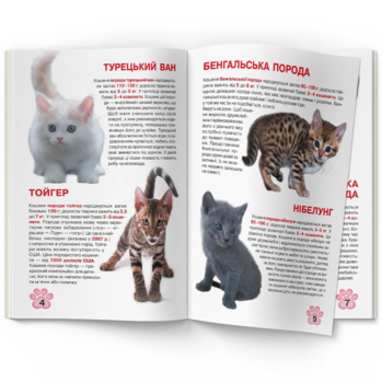 Большая книга Кристал Бук Котята (F00019383) - Pampik - 5