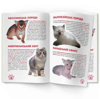 Большая книга Кристал Бук Котята (F00019383) - Pampik - 4