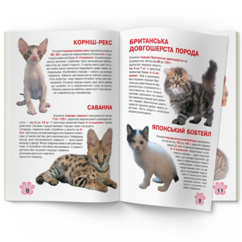 Большая книга Кристал Бук Котята (F00019383) - Pampik - 2