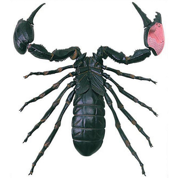 Объемная модель 4D Master Скорпион, 29 деталей (FM-622033) - Pampik - 3