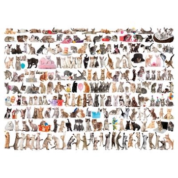 Пазл EuroGraphics Світ кішок, 1000 елементів (6000-0580) - Pampik - 2