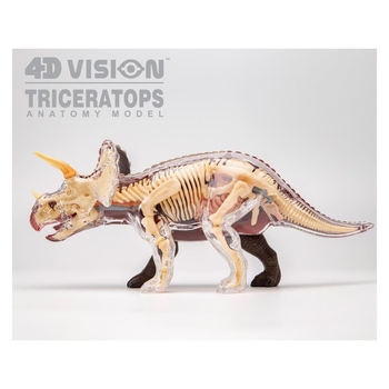 Об'ємна модель 4D Master Трицератопс, 46 деталей (FM-622014) - Pampik - 13