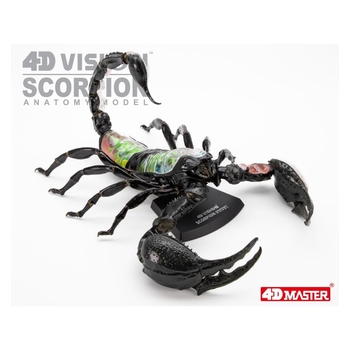 Объемная модель 4D Master Скорпион, 29 деталей (FM-622033) - Pampik - 12