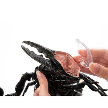 Объемная модель 4D Master Паук Тарантул, 33 детали (FM-622032) - Pampik - 12