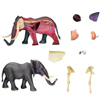 Объемная модель 4D Master Слон, 27 деталей (FM-622037) - Pampik - 3