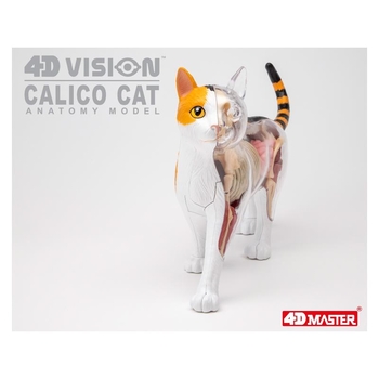 Объемная модель 4D Master Кот, 28 деталей (FM-622040) - Pampik - 10