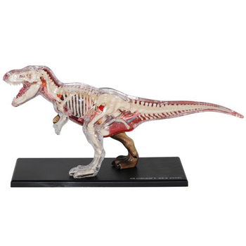 Об'ємна модель 4D Master Тиранозавр, 36 деталей (FM-622013) - Pampik - 4