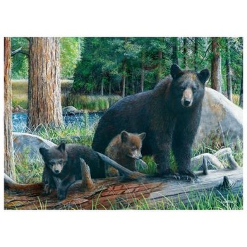 Пазл EuroGraphics Пізнаючи світ, Кевін Даніель, 1000 елементів (6000-0793) - Pampik - 2