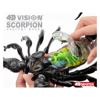 Объемная модель 4D Master Скорпион, 29 деталей (FM-622033) - Pampik - 15