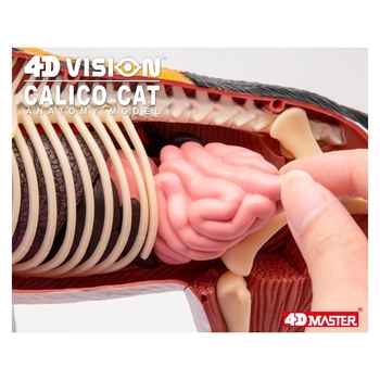 Объемная модель 4D Master Кот, 28 деталей (FM-622040) - Pampik - 8