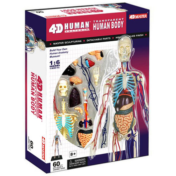 Об'ємна модель 4D Master Тіло людини, прозоре, 60 деталей (FM-626204) - Pampik