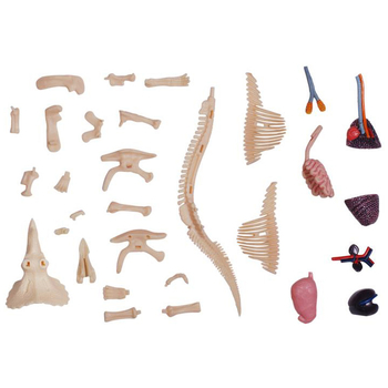 Об'ємна модель 4D Master Трицератопс, 46 деталей (FM-622014) - Pampik - 8