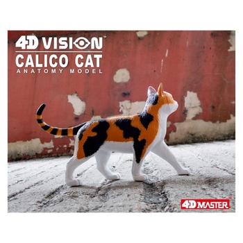 Объемная модель 4D Master Кот, 28 деталей (FM-622040) - Pampik - 14