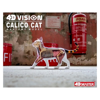 Объемная модель 4D Master Кот, 28 деталей (FM-622040) - Pampik - 13