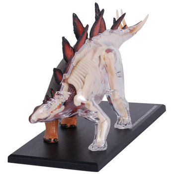 Об'ємна модель 4D Master Стегозавр, 39 деталей (FM-622016) - Pampik - 4