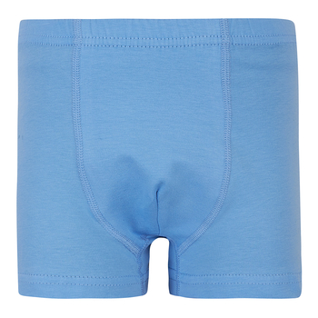 Труси-боксери Garnamama Basic boxer briefs boy 146-152 Голубой (1035663.11901212) - Pampik