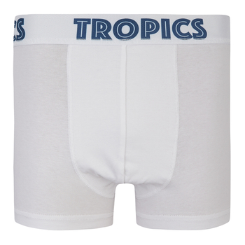 Труси-боксери Garnamama Tropics boxer briefs dad XXL муж Белый (1037769.1402681) - Pampik