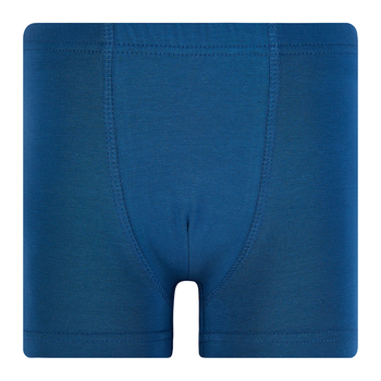Труси-боксери Garnamama Cosmodino Briefs Trunks 122-128 Синий (923483.1273342) - Pampik