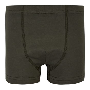 Труси-боксери Garnamama Basic boxer briefs boy 134-140 Зелений (1035678.11901210) - Pampik