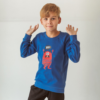 Реглан Garnamama Sleeves малюнок 122 Синий (928682.11930328) - Pampik - 2