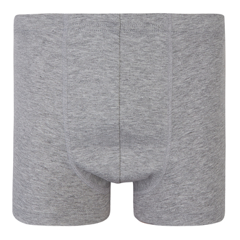 Труси-боксери Garnamama Basic boxer briefs Dad L чол Сірий (1035692.1238455) - Pampik