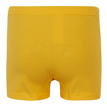 Труси-боксери Garnamama Basic boxer briefs boy 158-164 Желтый (1035672.11901211) - Pampik - 2