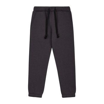 Спортивні штани на флісі Garnamama Oversize sport boy 152 Серый (1041548.1407285) - Pampik