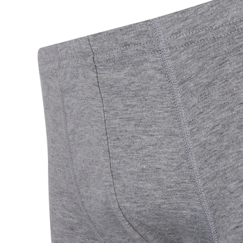 Труси-боксери Garnamama Basic boxer briefs Dad XL чол Сірий (1035694.1238455) - Pampik - 3