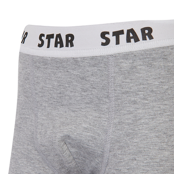 Труси-боксери Garnamama Basic STAR Boxer briefs boy 122-128 Серый (1037793.1402702) - Pampik - 3