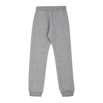 Спортивні штани на флісі Garnamama Pants girl Butterflies 164 Сірий (1030983.1312418) - Pampik - 2