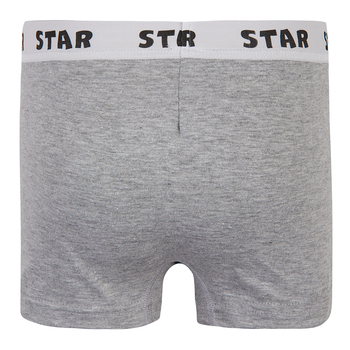 Труси-боксери Garnamama Basic STAR Boxer briefs boy 134-140 Сірий (1037794.1402702) - Pampik - 2