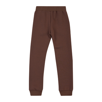 Спортивні штани на флісі Garnamama Pants girl Butterflies 146 Коричневый (1034917.13124110) - Pampik - 2