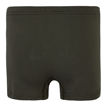 Труси-боксери Garnamama Basic boxer briefs boy 122-128 Зелений (1035677.11901210) - Pampik - 2