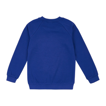 Реглан Garnamama Sleeves малюнок 128 Синий (928683.11930328) - Pampik - 4