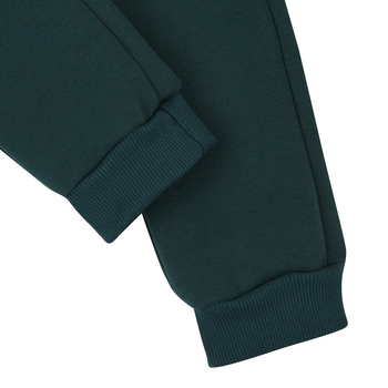 Спортивні штани на флісі Garnamama Pants girl Butterflies 158 Зелений (957819.1312412) - Pampik - 4