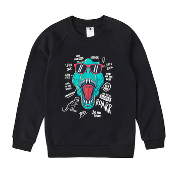 Реглан Garnamama Sleeves малюнок 122 Чорний (834561.1193039) - Pampik - 3